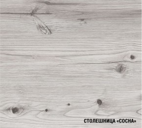 АСАЯ Кухонный гарнитур Экстра (3000 мм) в Североуральске - severouralsk.ok-mebel.com | фото 8