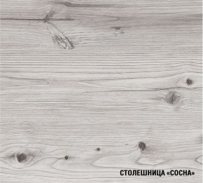 АСАЯ Кухонный гарнитур Мини 1000 мм в Североуральске - severouralsk.ok-mebel.com | фото 8