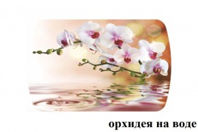 БОСТОН - 3 Стол раздвижной Орхидея на воде 1100/1420 опоры Триумф в Североуральске - severouralsk.ok-mebel.com | фото 2