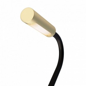 Бра Maytoni Stem C035WL-L3MG3K в Североуральске - severouralsk.ok-mebel.com | фото 6