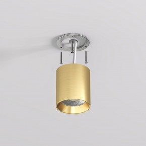 DK2610-SB Накладной светильник SHINE TUBE со светодиодом, D70*H80, IP20, 3000К, 10W, RA?90, сатинированная латунь, алюминий в Североуральске - severouralsk.ok-mebel.com | фото 3
