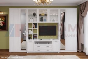 Гостиная Карина Композиция 6 (Снежный ясень) в Североуральске - severouralsk.ok-mebel.com | фото