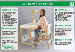 Комплект растущий стол и стул с чехлом 38 попугаев «Вуди» (Серый, Береза, Салют) в Североуральске - severouralsk.ok-mebel.com | фото