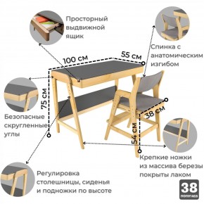 Комплект растущий стол и стул с чехлом 38 попугаев «Вуди» (Серый, Береза, Серый) в Североуральске - severouralsk.ok-mebel.com | фото