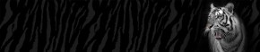 Кухонный фартук Фауна 055 МДФ матовый (3000) Fauna в Североуральске - severouralsk.ok-mebel.com | фото