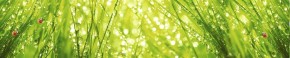 Кухонный фартук Цветы 115 МДФ матовый (3000) Flowers в Североуральске - severouralsk.ok-mebel.com | фото