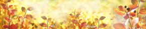 Кухонный фартук Цветы 318 МДФ матовый (3000) Flowers в Североуральске - severouralsk.ok-mebel.com | фото