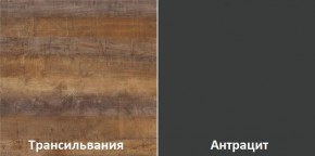 Кухонный гарнитур угловой Трансильвания 2600х1600 мм (Стол. 38 мм) в Североуральске - severouralsk.ok-mebel.com | фото 3