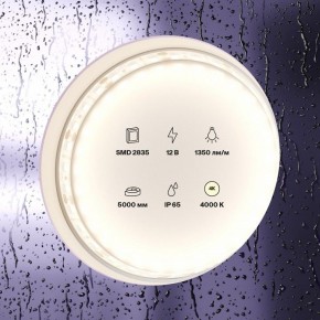 Лента светодиодная Maytoni Led strip 10118 в Североуральске - severouralsk.ok-mebel.com | фото 2