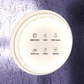 Лента светодиодная Maytoni Led strip 10172 в Североуральске - severouralsk.ok-mebel.com | фото 2