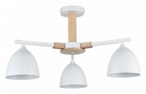 Люстра на штанге Lumion Colange 8095/3C в Североуральске - severouralsk.ok-mebel.com | фото