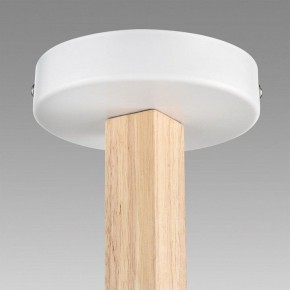 Люстра на штанге Lumion Colange 8095/3C в Североуральске - severouralsk.ok-mebel.com | фото 9
