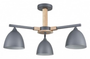 Люстра на штанге Lumion Colange 8096/3C в Североуральске - severouralsk.ok-mebel.com | фото