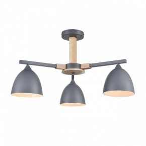 Люстра на штанге Lumion Colange 8096/3C в Североуральске - severouralsk.ok-mebel.com | фото 2