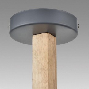 Люстра на штанге Lumion Colange 8096/3C в Североуральске - severouralsk.ok-mebel.com | фото 9