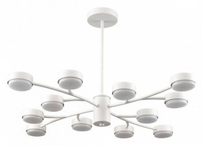 Люстра на штанге Lumion TORINA 8265/12 в Североуральске - severouralsk.ok-mebel.com | фото