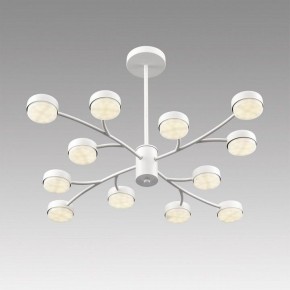 Люстра на штанге Lumion TORINA 8265/12 в Североуральске - severouralsk.ok-mebel.com | фото 5