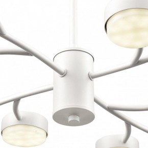 Люстра на штанге Lumion TORINA 8265/12 в Североуральске - severouralsk.ok-mebel.com | фото 8