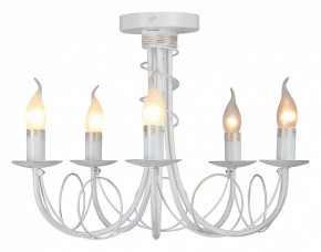 Люстра на штанге Vitaluce V3035 V3035-0/5PL в Североуральске - severouralsk.ok-mebel.com | фото 2