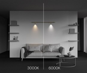 Модульный светильник Maytoni Focus LED C102CL-3W3-6K-BS в Североуральске - severouralsk.ok-mebel.com | фото 4