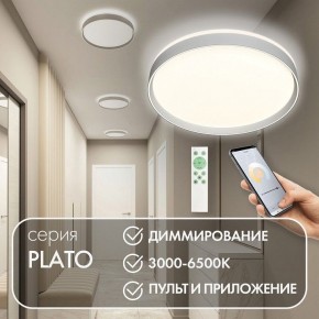Накладной светильник Denkirs PLATO DK6511-WH/1 в Североуральске - severouralsk.ok-mebel.com | фото 4