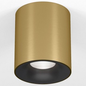 Накладной светильник Elektrostandard Primo 25116/LED в Североуральске - severouralsk.ok-mebel.com | фото 2