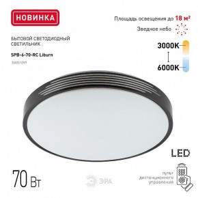 Накладной светильник Эра Классик SPB-6-70-RC Liburn в Североуральске - severouralsk.ok-mebel.com | фото 10
