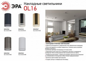 Накладной светильник Эра OL16 GU10 BK Б0049042 в Североуральске - severouralsk.ok-mebel.com | фото 3