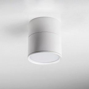 Накладной светильник Lightstar Acuto 215886 в Североуральске - severouralsk.ok-mebel.com | фото 3