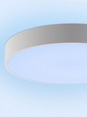 Накладной светильник Natali Kovaltseva MODERN LED LAMPS 81105/1C в Североуральске - severouralsk.ok-mebel.com | фото 11