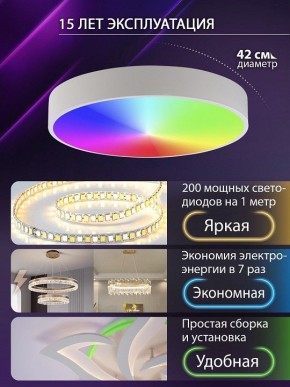 Накладной светильник Natali Kovaltseva MODERN LED LAMPS 81105/1C в Североуральске - severouralsk.ok-mebel.com | фото 6
