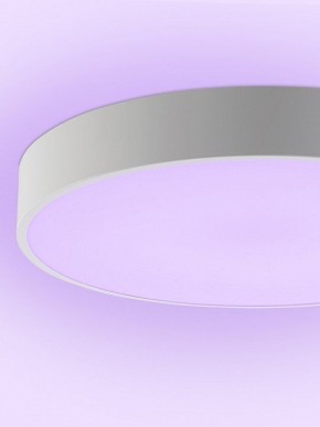 Накладной светильник Natali Kovaltseva MODERN LED LAMPS 81105/1C в Североуральске - severouralsk.ok-mebel.com | фото 9