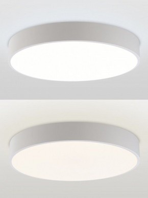 Накладной светильник Natali Kovaltseva MODERN LED LAMPS 81105/2C в Североуральске - severouralsk.ok-mebel.com | фото 4