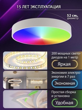 Накладной светильник Natali Kovaltseva MODERN LED LAMPS 81105/2C в Североуральске - severouralsk.ok-mebel.com | фото 6
