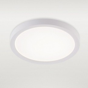 Накладной светильник Natali Kovaltseva PLAIN LED LAMPS 81113/1C в Североуральске - severouralsk.ok-mebel.com | фото 2