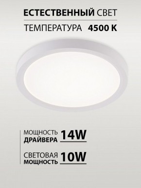 Накладной светильник Natali Kovaltseva PLAIN LED LAMPS 81113/1C в Североуральске - severouralsk.ok-mebel.com | фото 4