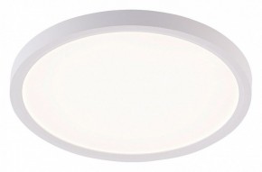 Накладной светильник Natali Kovaltseva PLAIN LED LAMPS 81113/2C в Североуральске - severouralsk.ok-mebel.com | фото