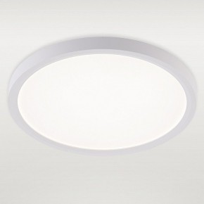 Накладной светильник Natali Kovaltseva PLAIN LED LAMPS 81113/2C в Североуральске - severouralsk.ok-mebel.com | фото 2