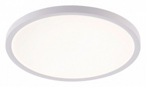 Накладной светильник Natali Kovaltseva PLAIN LED LAMPS 81113/3C в Североуральске - severouralsk.ok-mebel.com | фото