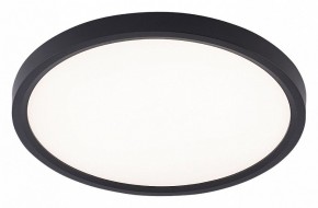 Накладной светильник Natali Kovaltseva PLAIN LED LAMPS 81114/2C в Североуральске - severouralsk.ok-mebel.com | фото