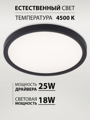 Накладной светильник Natali Kovaltseva PLAIN LED LAMPS 81114/2C в Североуральске - severouralsk.ok-mebel.com | фото 3