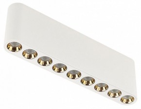 Накладной светильник Odeon Light Small 7091/21CL в Североуральске - severouralsk.ok-mebel.com | фото