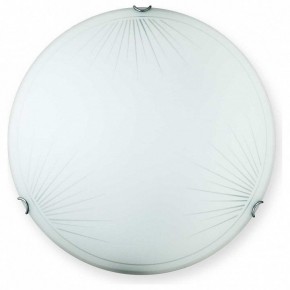 Накладной светильник TopLight Wifa TL9142Y-00WH в Североуральске - severouralsk.ok-mebel.com | фото