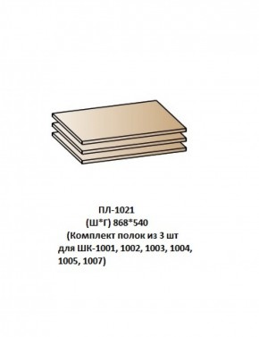 ПЛ-1021 (Комплект полок из 3 шт для ШК-1001, 1002, 1003, 1004, 1005, 1007) в Североуральске - severouralsk.ok-mebel.com | фото