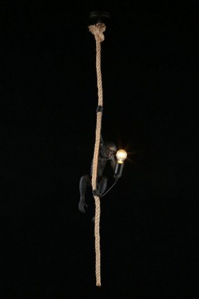 Подвесной светильник Aployt Magali APL.309.16.01 в Североуральске - severouralsk.ok-mebel.com | фото 3