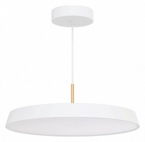 Подвесной светильник Arlight ELEGANT 033925(1) в Североуральске - severouralsk.ok-mebel.com | фото 2