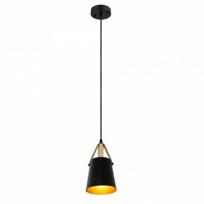 Подвесной светильник Arte Lamp Thomas A7032SP-1BK в Североуральске - severouralsk.ok-mebel.com | фото 3