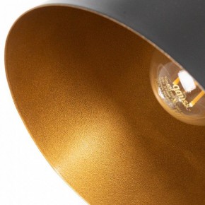 Подвесной светильник Arte Lamp Thomas A7032SP-1BK в Североуральске - severouralsk.ok-mebel.com | фото 5
