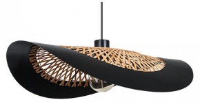 Подвесной светильник Arte Lamp Woodstock A7059SP-1BK в Североуральске - severouralsk.ok-mebel.com | фото