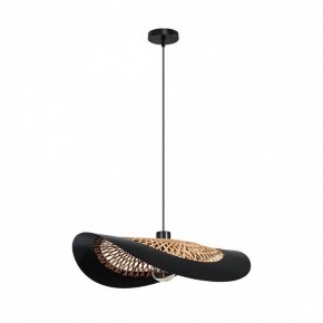 Подвесной светильник Arte Lamp Woodstock A7059SP-1BK в Североуральске - severouralsk.ok-mebel.com | фото 2